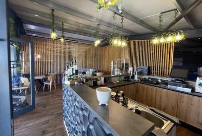 Spațiu comercial, de 500 mp, în Domnești - 7