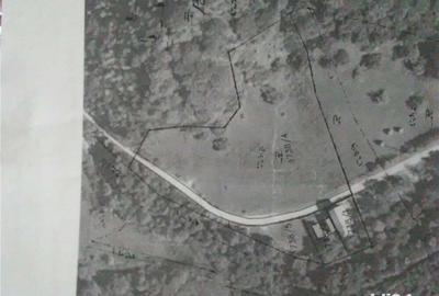 Teren de 5500 mp, în Pietroasa - 8