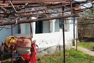 Casă cu Teren 1031 Mp în Drăguțești