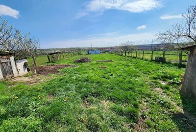 Casă cu Teren 1490 Mp în Central