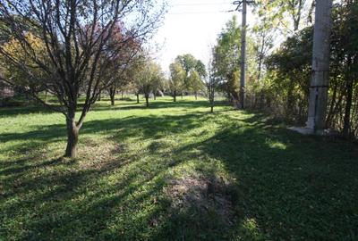 Teren agricol intravilan de 3852 mp, în Poiana - 8