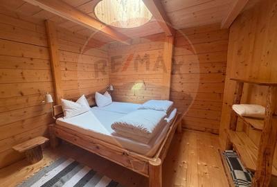 Casă cu 14 camere cu Teren 62330 Mp în Horea - 7