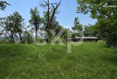 Casă cu 5 camere cu Teren 4489 Mp în Râu Alb - 2