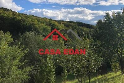 Teren extravilan de 9104 mp, în Brebu Mânăstirei - 5