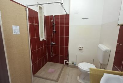 Apartament cu 2 camere nedecomandat în Ultracentral - 8