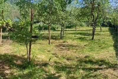Casă cu 2 camere în Șoimeni - 5