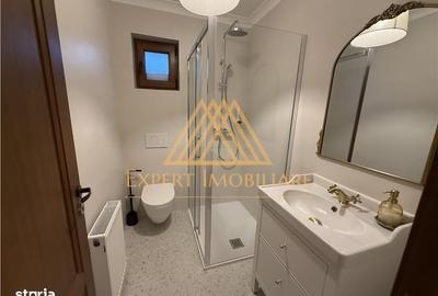 Casă cu 4 camere cu Teren 2000 Mp în Paltin - 3
