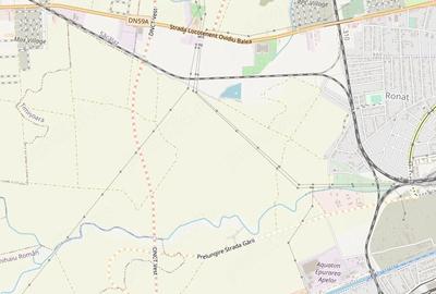 Teren de 10000 mp, în Ronaț - 1
