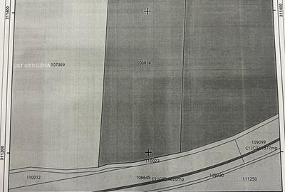 Teren Construcții extravilan de 30000 mp, în Central - 6