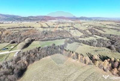 Teren de 15800 mp, în Tohănița - 5