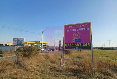 Teren de 30000 mp, în Săbăreni
