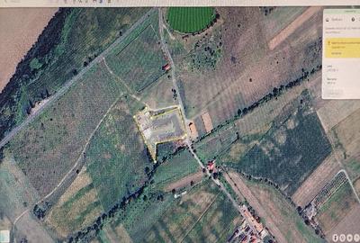 Casă cu Teren 7134 Mp în Periferie