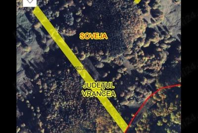 Teren de 12253 mp, în Soveja - 2