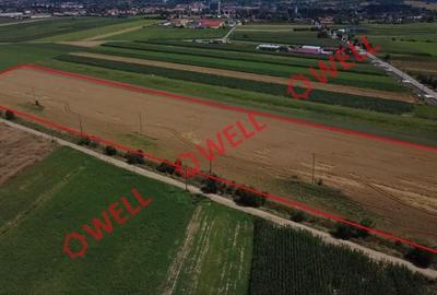 Teren extravilan de 25000 mp, în Covasna
