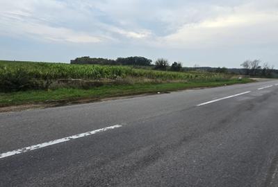 Teren agricol extravilan de 18000 mp, în Boțârlău - 19