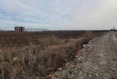 Teren agricol intravilan de 4.5 mp, în Brăilei - 26