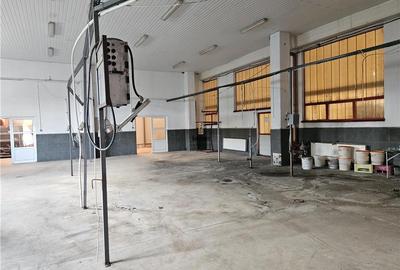 Spațiu industrial, de 2,200 mp, în Mârșa - 17