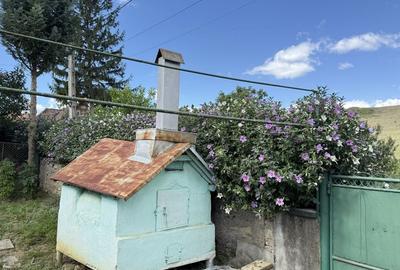 Casă cu 2 camere în Feisa