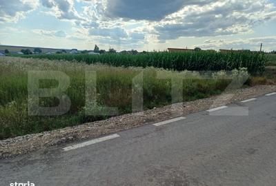 Spațiu comercial, în Moara