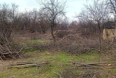 Casă în Florica - 1
