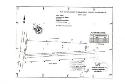 Teren Construcții intravilan de 10000 mp, în Băneasa - 2
