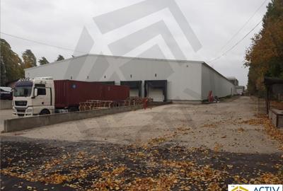 Spațiu industrial, de 3,850 mp, în Sud
