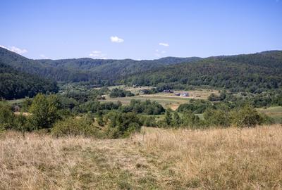 Teren extravilan de 4200 mp, în Vulcan - 9
