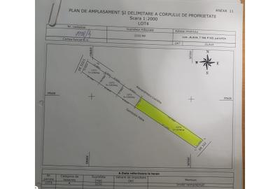 Teren de 3250 mp, în Jilava