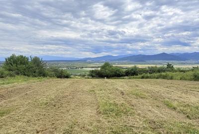 Teren de 1500 mp, în Cristian - 2