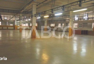 Spațiu comercial, de 800 mp, în Terezian