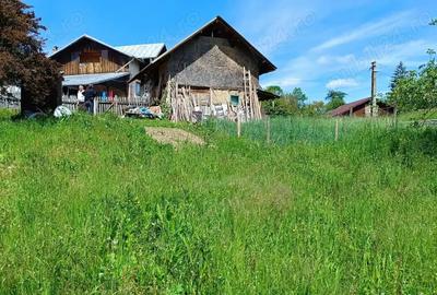 Teren de 2276 mp, în Drăgăneasa - 4