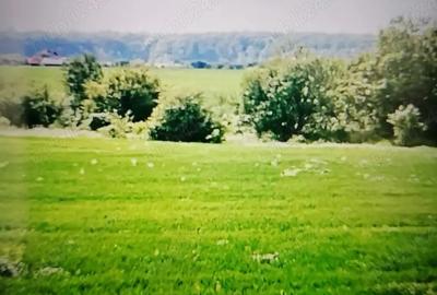 Teren de 1686 mp, în Domnești