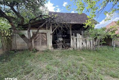 Casă cu 3 camere cu Teren 4100 Mp în Horoatu Crasnei - 9