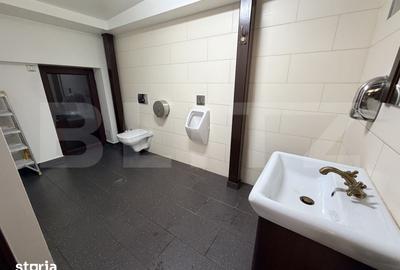 Spațiu comercial, de 180 mp, în Cetate - 12