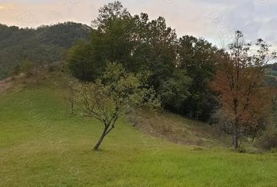 Teren de 8500 mp, în Hărțăgani - 3