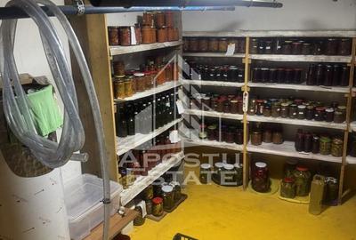 Casă individuală cu 5 camere cu Canalizare în Ghiroda - 15