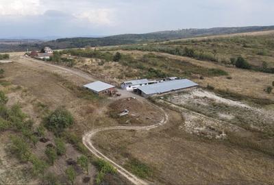 Teren de 1000 mp, în Sărand