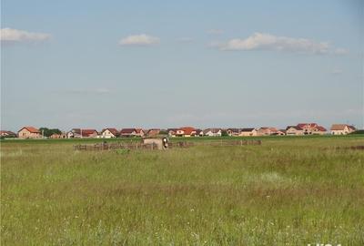 Teren de 32000 mp, în Moșnița Veche - 1