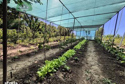 Casă cu 5 camere cu Teren 3024 Mp în Popricani - 8