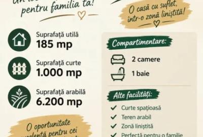 Casă cu 2 camere cu Teren 3200 Mp în Vicșani