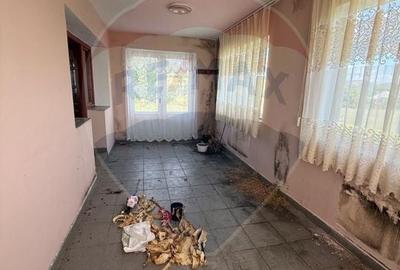 Casă individuală cu 5 camere cu Teren 8286 Mp în Preluca Nouă - 10