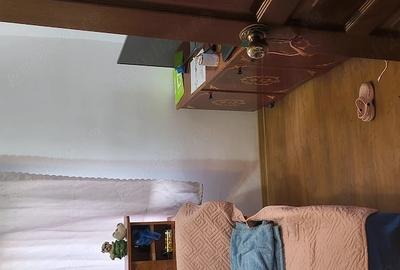 Casă cu 2 camere cu Teren 2500 Mp în Surdila-Greci - 4