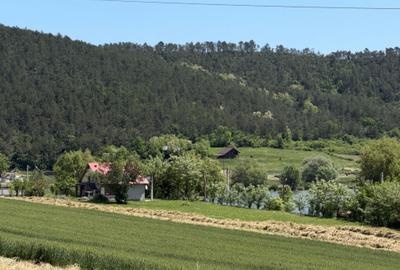 Teren de 1455 mp, în Stâna de Mureș - 3