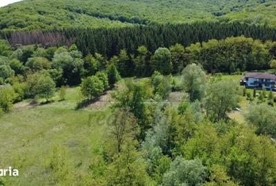 Teren de 3128 mp, în Mărgineni - 3