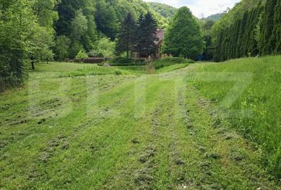 Casă cu 3 camere cu Teren 2500 Mp în Ighiu - 8