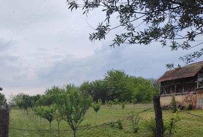 Teren de 1900 mp, în Rovinița Mare - 7