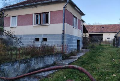 Casă cu 3 camere în Exterior Vest