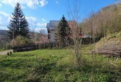 Teren Construcții intravilan de 1800 mp, în Brebu Megieșesc - 9
