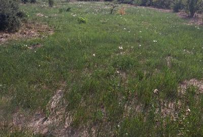 Teren de 3000 mp, în Mândruloc
