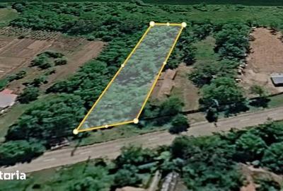 Teren de 900 mp, în Nuci - 3